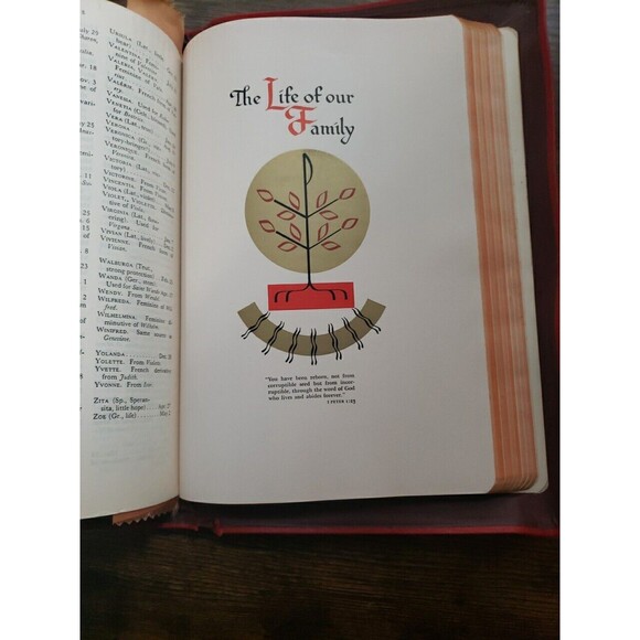 HOLY BIBLE 1950 Catholic Home Edition Red Leather Illustrated Old Masters Large - Picture 15 of 16